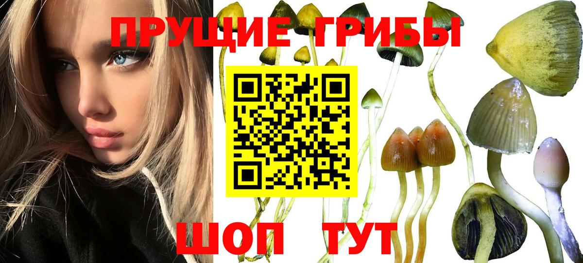 Галлюциногенные грибы MAGIC MUSHROOMS Всеволожск