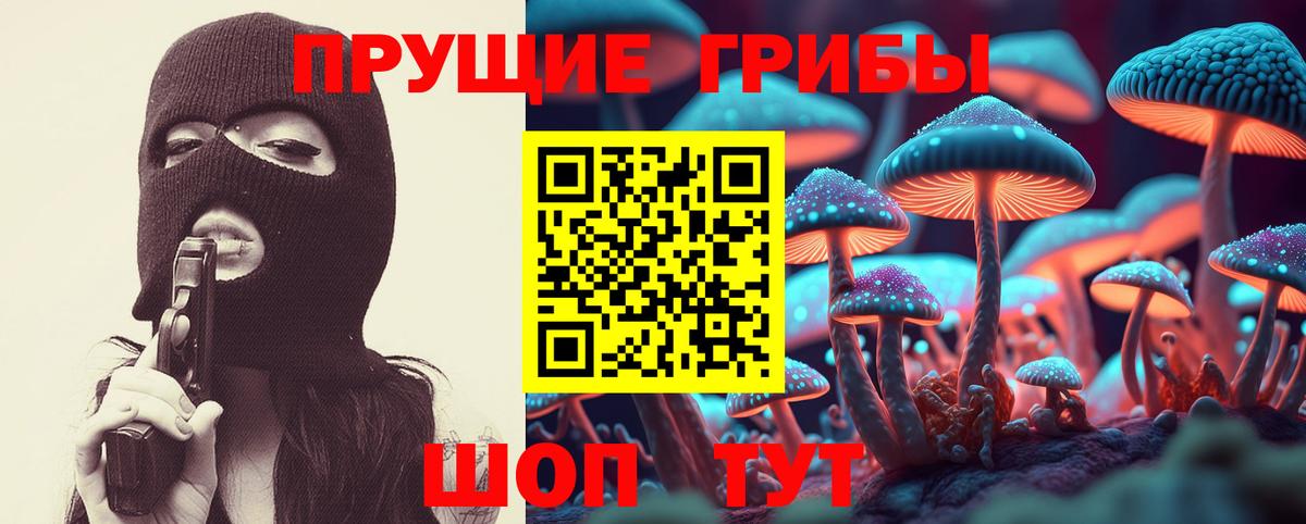 Псилоцибиновые грибы Psilocybe  Галлюциногенные грибы Psilocybine cubensis  Всеволожск  Вход с VPN 
